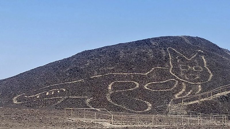 Giant 2,000-Year-Old Cat Geoglyph Discovered At Nazca In Peru