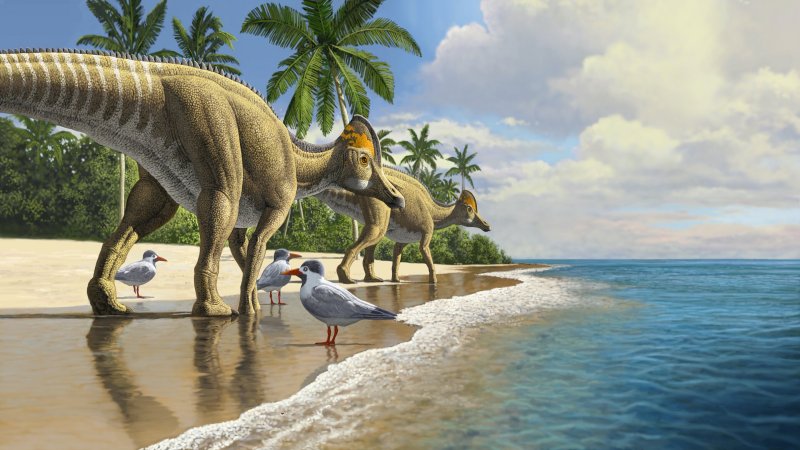 Surprising Out-Of-Place Duckbill Dinosaur Fossils Offers Evidence Dinosaurs Once Crossed Oceans