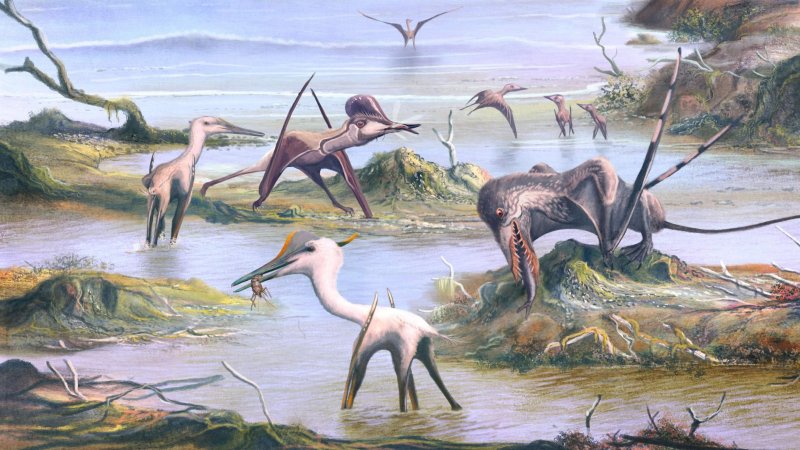 Earth’s earliest flying reptiles - what did they eat?