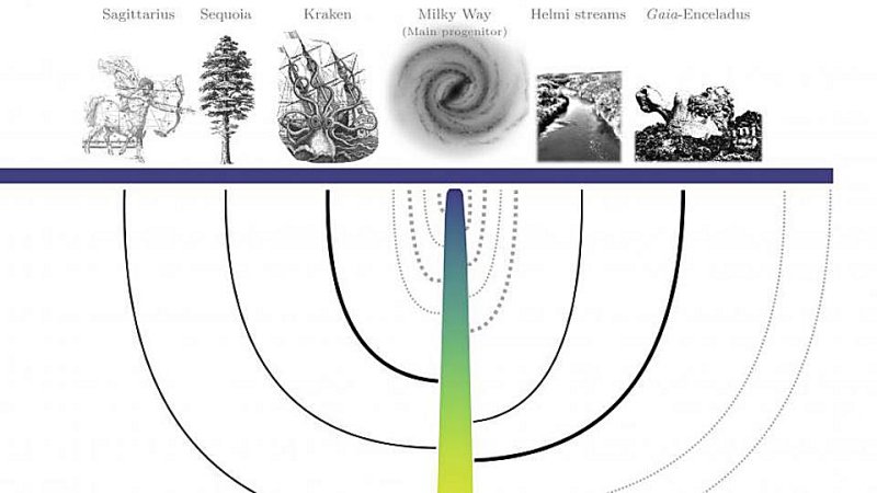 Galaxy merger tree of the Milky Way inferred by applying the insights gained from the E-MOSAICS simulations to the Galactic globular cluster population. The main progenitor of the Milky Way is denoted by the trunk of the tree, coloured by its stellar mass. Black lines indicate the five identified satellites. Grey dotted lines illustrate other mergers that the Milky Way is predicted to have experienced, but could not be linked to a specific progenitor. D. KRUIJSSEN / HEIDELBERG UNIVERSITY