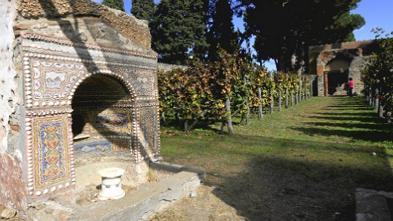 Amazing Restoration Of Ancient Roman Vineyard Buried Underneath The Ash Of Mount Vesuvius For 2,000 Years