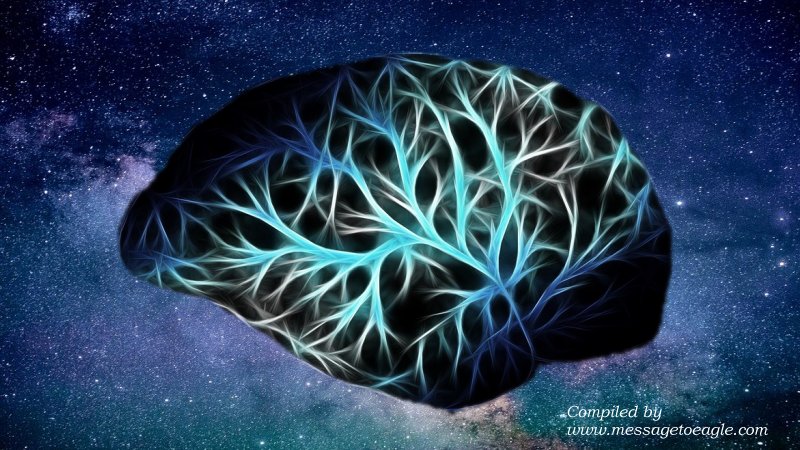 Our Brain Resemble The Universe With Cosmic Network Of Galaxies