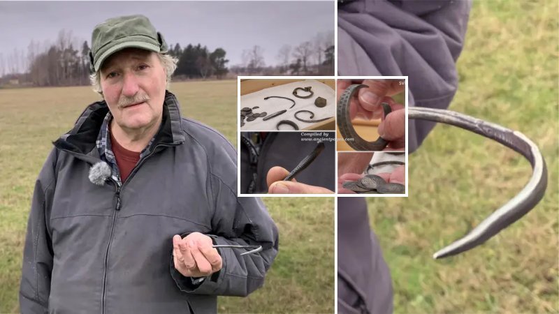 Silver Needle Dismissed As Trash Was A Part Of A Stunning Viking Treasure Found By Farmer On Gotland