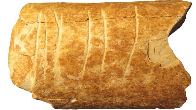 120,000-Year-Old Bone Etchings - Evidence Of The Earliest-Known Use Of Symbols