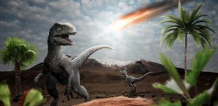 Mystery Of The Cretaceous Mass Extinction And The Demise Of Dinosaurs Deepens