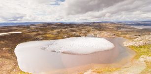 Surprising Discovery Of Plants Beneath Mile-Deep Greenland Ice