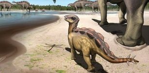 This Tiny Cat-Sized Stegosaur Lived 100 Million Years Ago