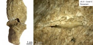 Projectile impact puncture with an embedded lithic fragment in the posterior surface of the left hip bone of individual JS 21. Credit: Isabelle Crevecoeur/Marie-Hélène Dias-Meirinho