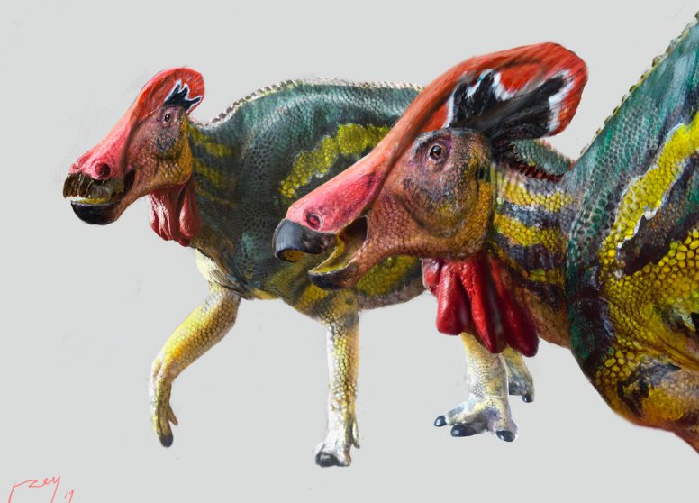 New Gigantic Dinosaur Species Emitting Loud Sounds Identified By Mexican Paleontologists 