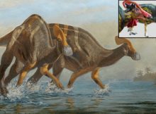 New Gigantic Dinosaur Species Emitting Loud Sounds Identified By Mexican Paleontologists