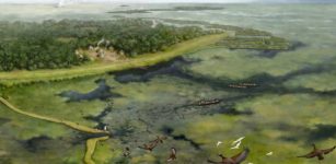 Pre-Columbian People Of The Amazon Altered Their Landscape Thousands Of Years Earlier Than Previously Thought