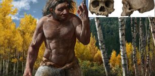 Dragon Man: New Species Of Human May Replace Neanderthals As Our Closest Relative