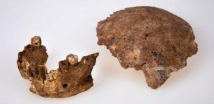 New Type Of Early Previously Unknown Human Discovered In Israel