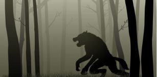 Werewolf - Ancient Worldwide Belief In Terrible Curse