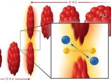 Making matter from light: Two gold (Au) ions (red) move in opposite direction at 99.995% of the speed of light (v, for velocity, = approximately c, the speed of light). As the ions pass one another without colliding, two photons (γ) from the electromagnetic cloud surrounding the ions can interact with each other to create a matter-antimatter pair: an electron (e-) and positron (e+).