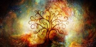 Celtic Tree Of Life - Portal To Invisible Worlds And Source Of Sacred Knowledge