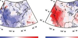 How A Sudden Stratospheric Warming Affected The Northern Hemisphere