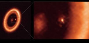 Moon-forming disc around an exoplanet - Detected