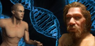 Just 7% Of Our DNA Is Unique To Modern Humans - We Are Not Much Different From The Neanderthals