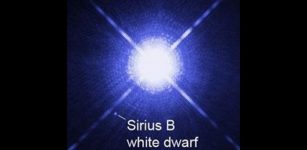 A Hubble image of Sirius and its white dwarf companion star. Remnants of planets in aged, white dwarf systems can be seen as dusty disks of material and a new study has discovered six such systems that also have gaseous components, a very rare combination. The hot gas can be analysed to reveal kinematic information about the disk. Credit: Harvard-Smithsonian Center for Astrophysics
