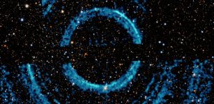 V404 Cygni: Huge Rings Around A Black Hole