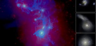How Disorderly Young Galaxies Grow Up And Mature