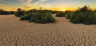 Drought Is Rising In Europe - New Study