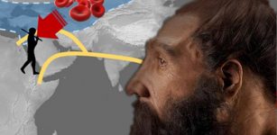 Neanderthal And Denisovan Blood Groups Deciphered And The Results Are Surprising