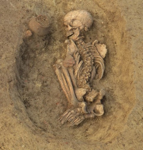 New Insight Into Genetic History And Social Structures In Neolithic And Bronze Age Croatia