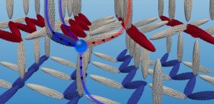 Researchers at the University of Vienna have designed a new 3D magnetic nanonetwork, where magnetic monopoles emerge due to rising magnetic frustration among the nanoelements, and are stable at room temperature. Credit: © Sabri Koraltan University of Vienna