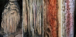 Neanderthals Painted Andalusia’s Cueva de Ardales - New Study Confirms Their Cave Art