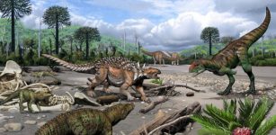 Ancient Teeth Reveal Surprising Diversity Of Cretaceous Reptiles At Argentina Fossil Site