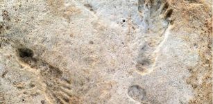 23,000-Year-Old Footprints Are Earliest Evidence Of Human Activity Found In The Americas