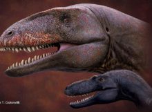 Who Was King Before Tyrannosaurus? Now New Top Dino Fossil - Revealed