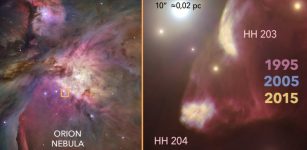 The left panel shows the Orion Nebula observed with the Hubble Space Telescope, picking out the area around HH204. In the right panel, we can see in detail the structure of HH204 and of its apparent companion, HH203. In this panel, the images by the Hubble Space Telescope taken during 20 years and artificially highlighted with different colours show the advance of the jets of gas through the Orion Nebula. Credit: Gabriel Pérez Díaz, SMM (IAC).
