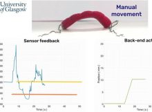 Super-stretchy wormlike robots capable of 'feeling' their surroundings