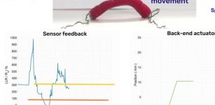 Super-stretchy wormlike robots capable of 'feeling' their surroundings