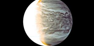 Sunlight Filtering Through Venus' Clouds Could Support Earth-Like Photosynthesis In The Cloud Layers