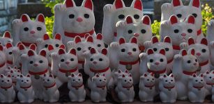 Beautiful Legend Of Maneki-neko - The Japanese Good Luck Charm Cat Raising A Paw