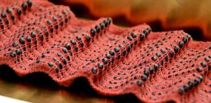 New Fibers Can Make Breath-Regulating Garments