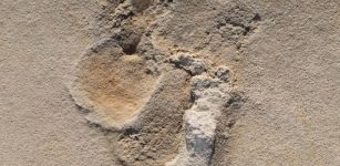 Oldest Footprints Of Pre-Humans Discovered In Crete