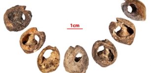 142,000-Year-Old Shell Beads Found In A Cave Are The Oldest Known Evidence Of Human Communication