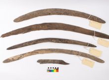 Rare Ancient Boomerang Collection Sheds New Light On Australia's Past