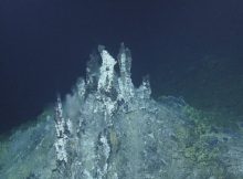 A chimney structure from the Sea Cliff hydrothermal vent field located more than 8,800 feet (2,700 meters) below the sea’s surface at the submarine boundary of the Pacific and Gorda tectonic plates. Credit: Ocean Exploration Trust