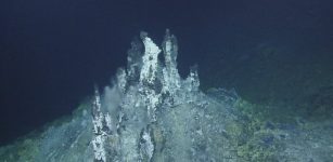 A chimney structure from the Sea Cliff hydrothermal vent field located more than 8,800 feet (2,700 meters) below the sea’s surface at the submarine boundary of the Pacific and Gorda tectonic plates. Credit: Ocean Exploration Trust