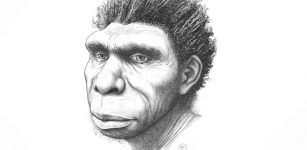 Homo Bodoensis Is A New Species Of Human Ancestors Who Lived Half A Million Years Ago