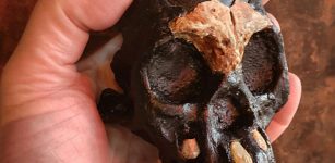 Ancient Mystery Of Leti - A Homo Naledi Child Of Darkness Discovered In The Rising Star Cave System