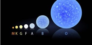 A size comparison of main sequence Morgan–Keenan classifications. Main sequence stars are those that fuse hydrogen into helium in their cores. The Morgan–Keenan system shown here classifies stars based on their spectral characteristics. Our Sun is a G-type star. SISTINE-2's target is Procyon A, an F-type star. Credits: NASA's Goddard Space Flight Center