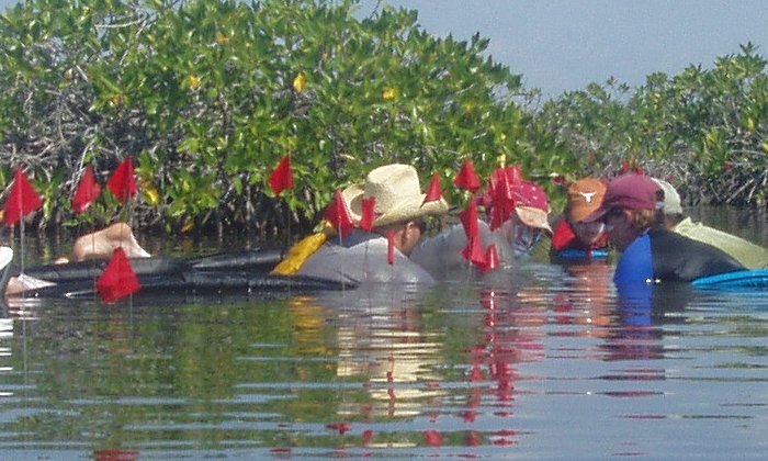 Salt Workers' Residences At Underwater Maya Site - Identified