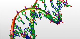 3dmodeldna12